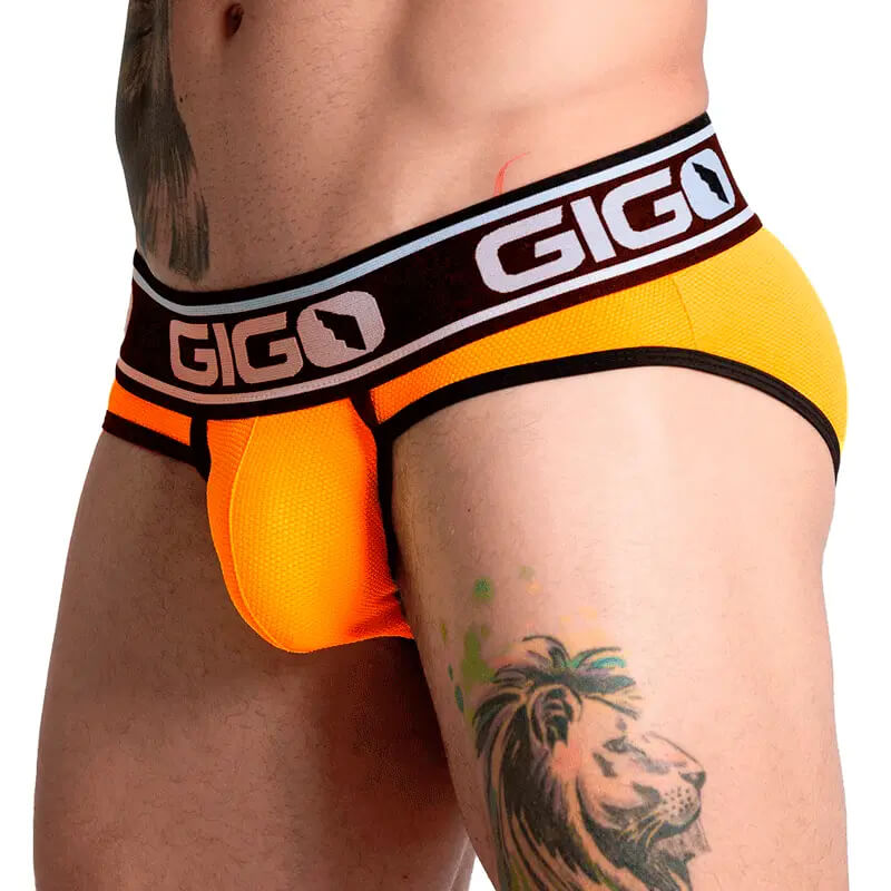 AUDACY ORANGE BRIEF