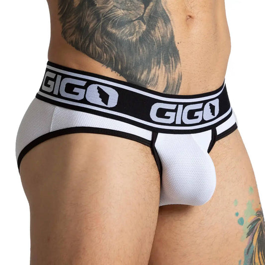 AUDACY WHITE BRIEF