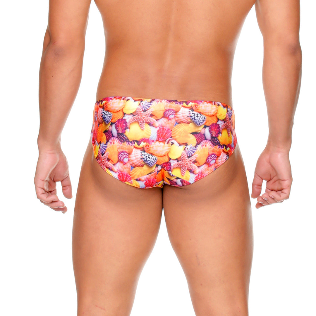 CORALS SWIM BRIEF