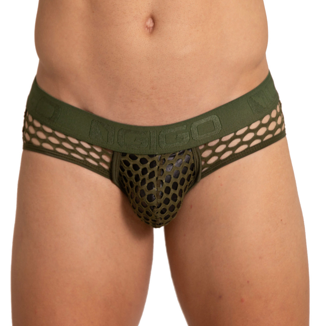 HOLE GREEN BRIEF