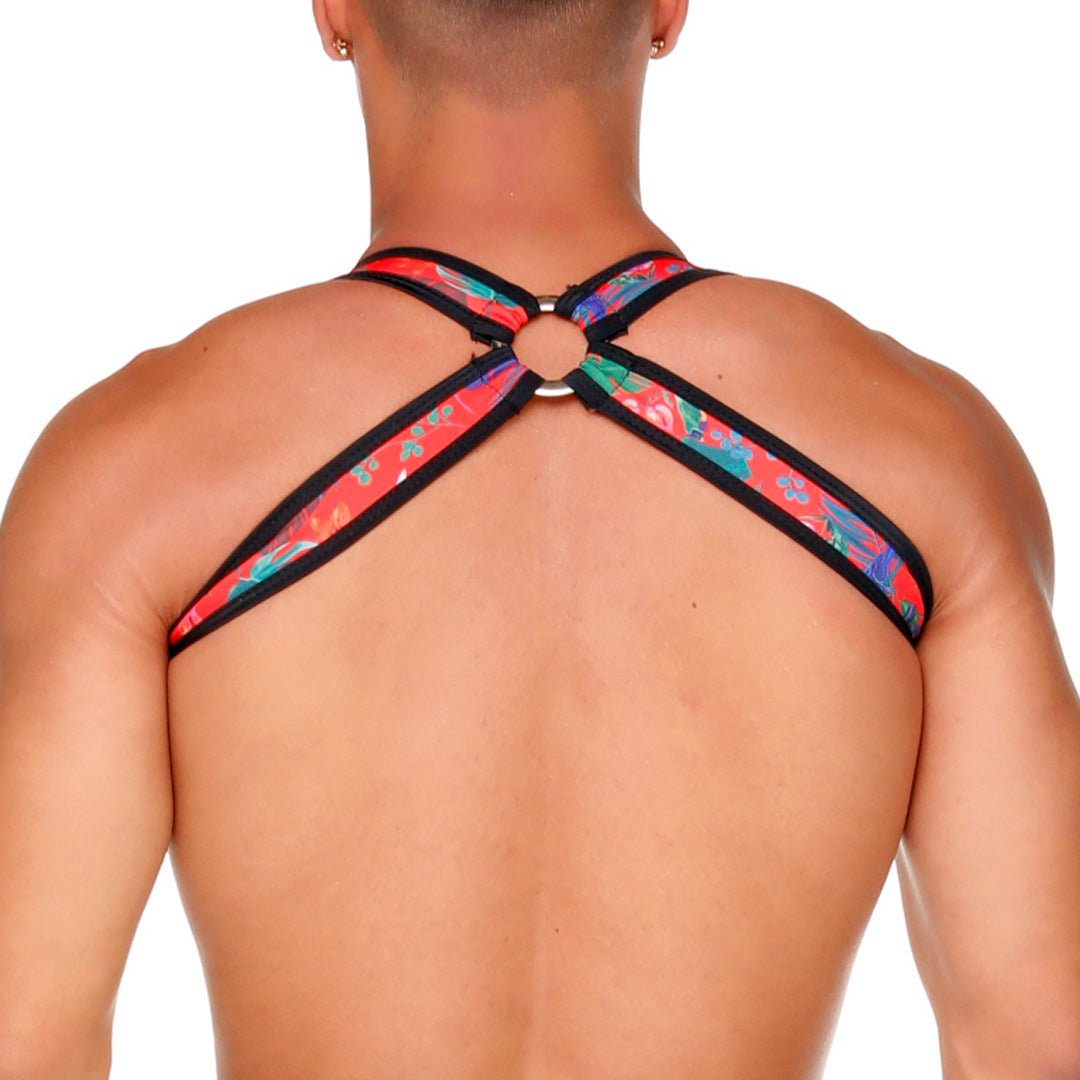 MACAWS RED HARNESS