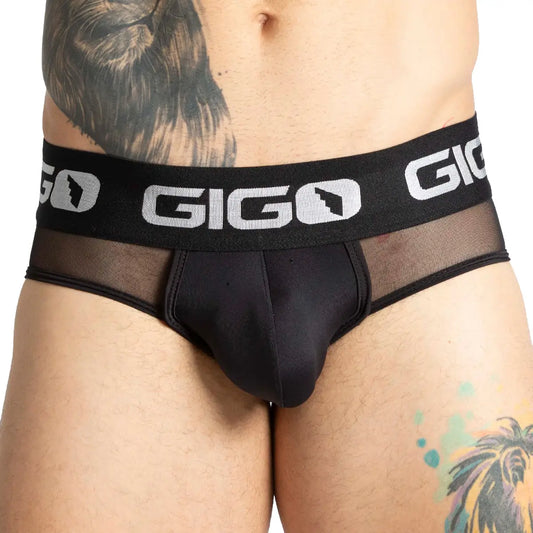 PURITY BLACK BRIEF