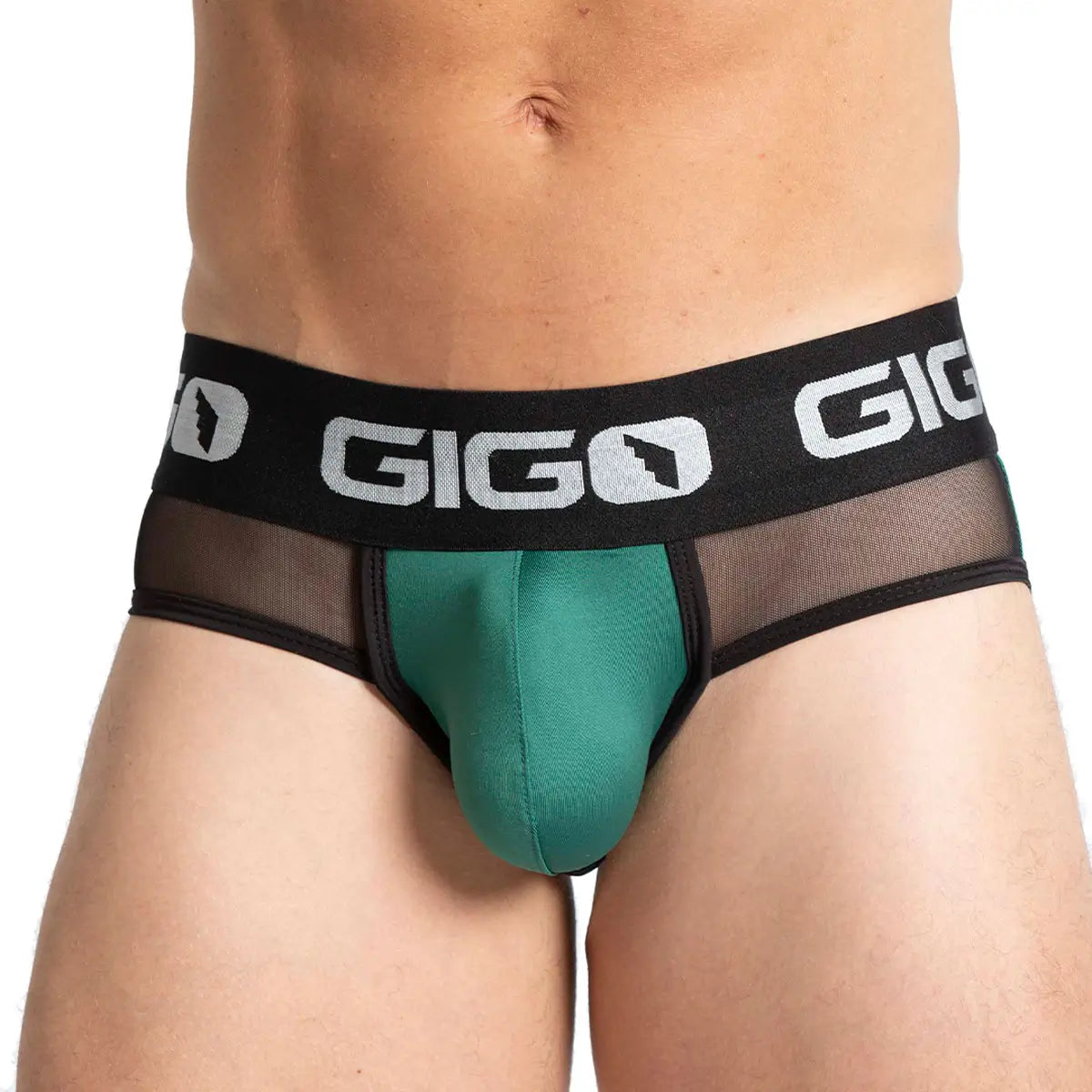 PURITY GREEN BRIEF