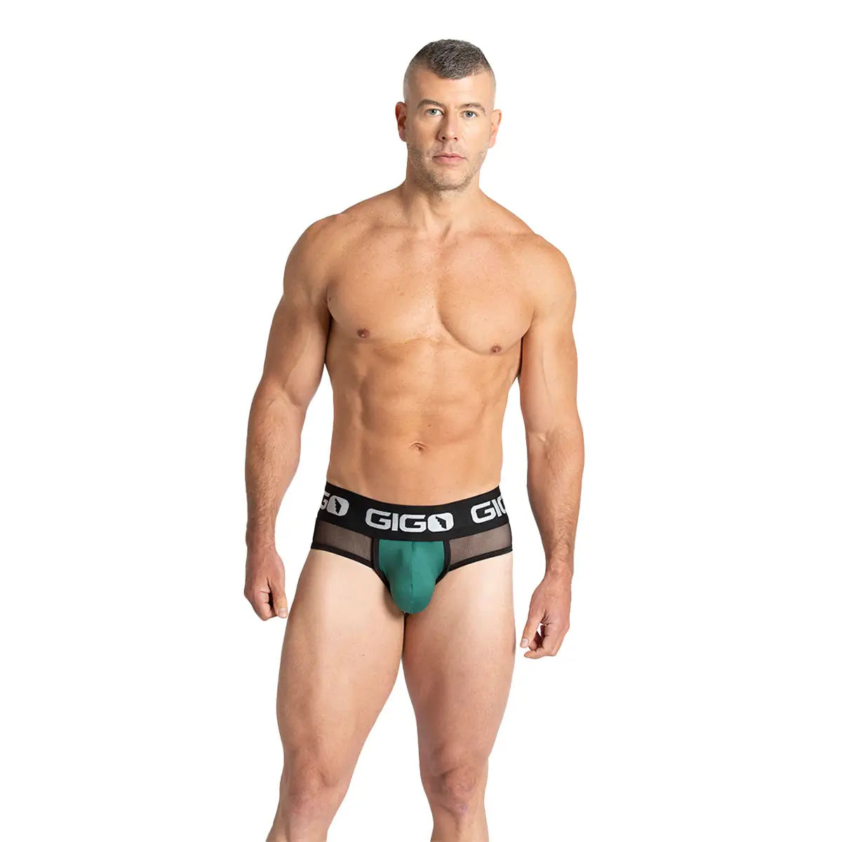 PURITY GREEN BRIEF